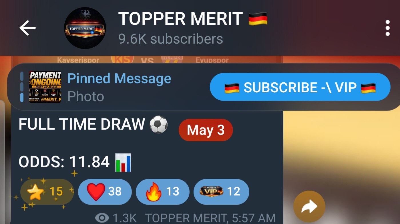 TOPPER MERIT 🇩🇪