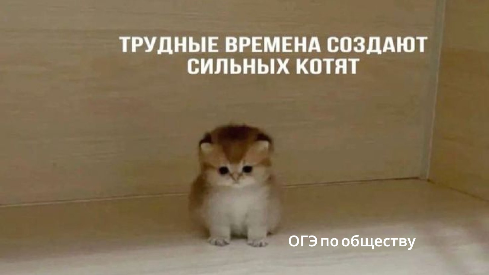 Егор Кант ОГЭ Обществознание 2027 Школково