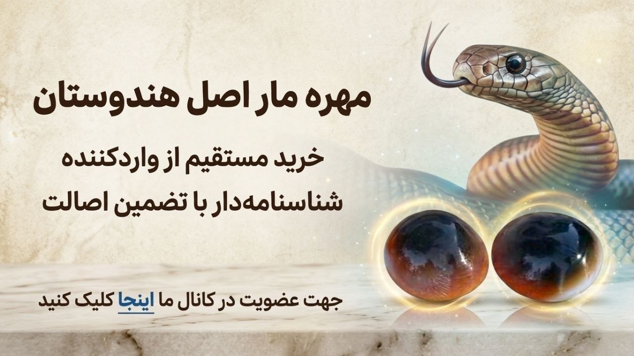 مهره مار اصل هندوستان🇮🇳