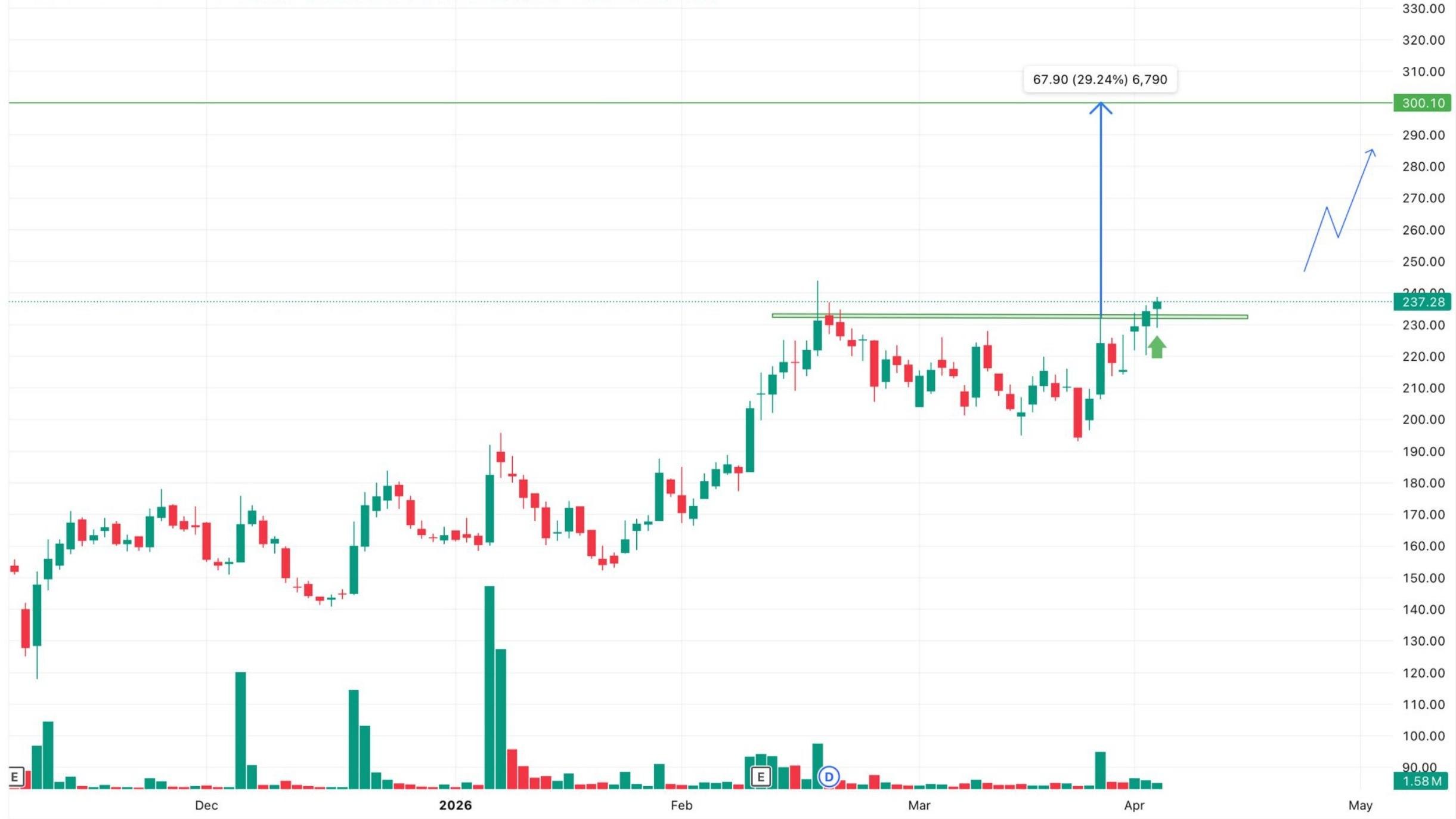 🇮🇳 Conceptual Investor