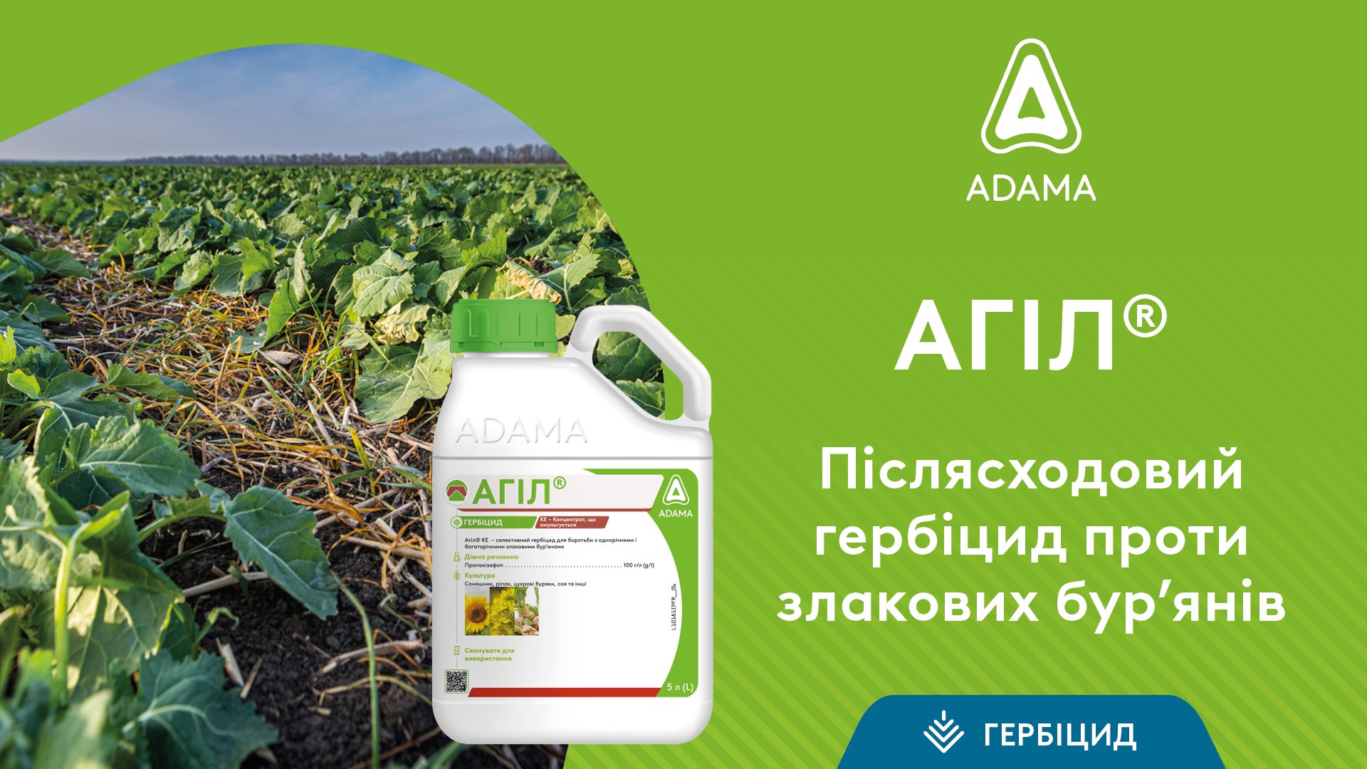 Післясходовий гербіцид ADAMA – АГІЛ
