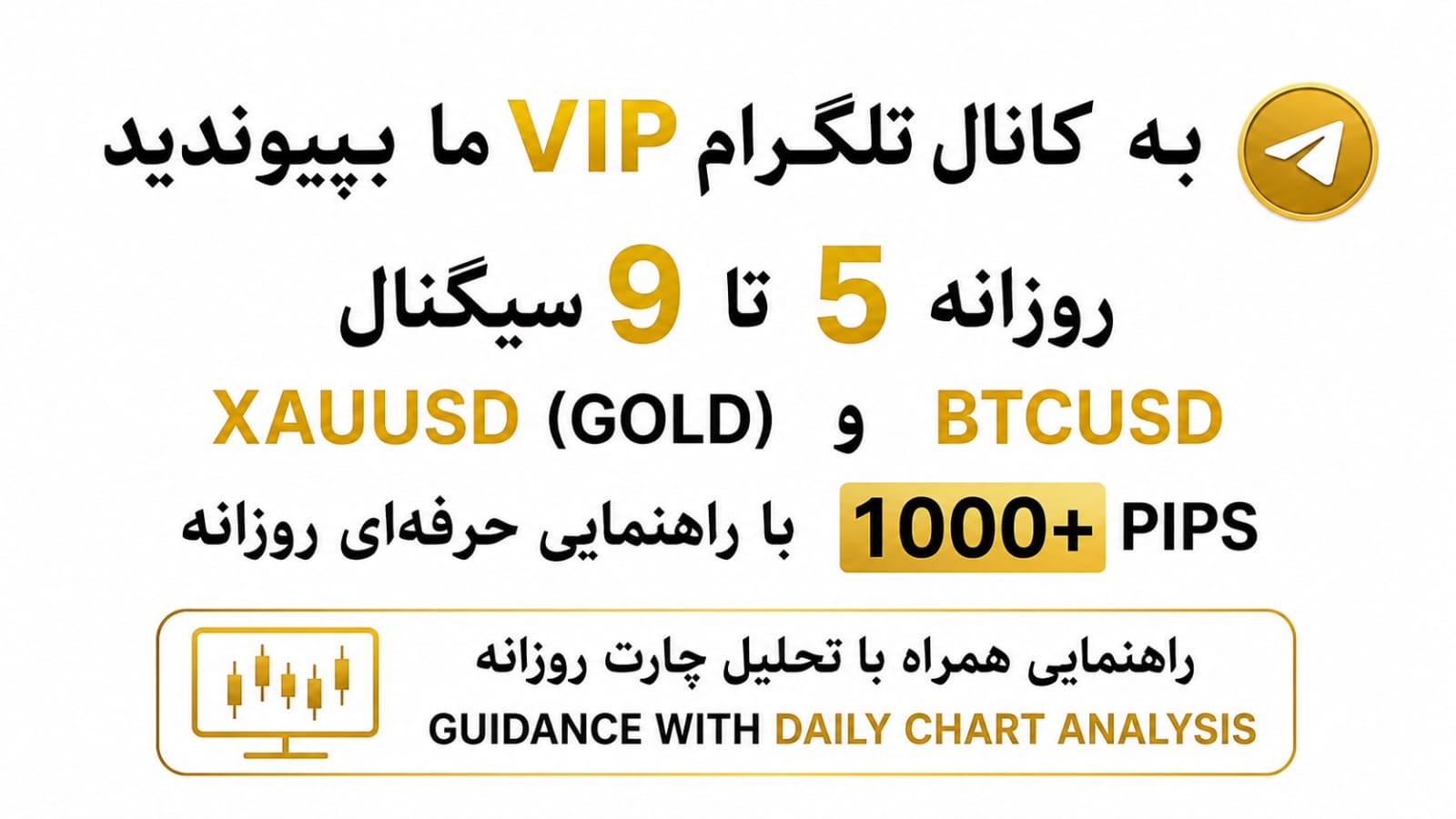 168FX Market Insights